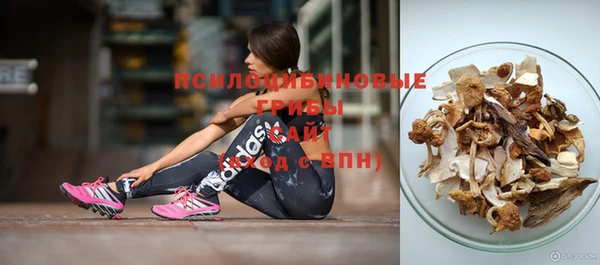 герыч Бронницы