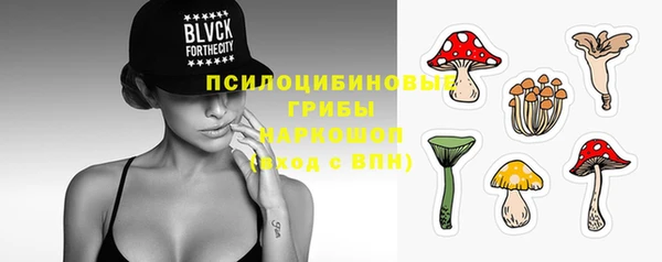 мяу мяу кристалл Строитель