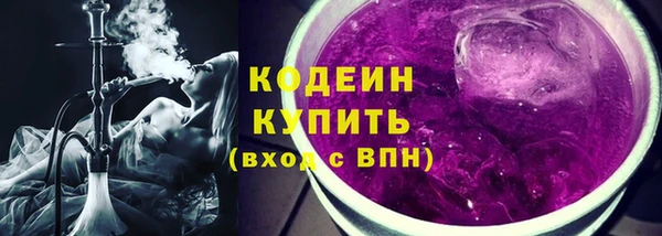 экстази Бородино