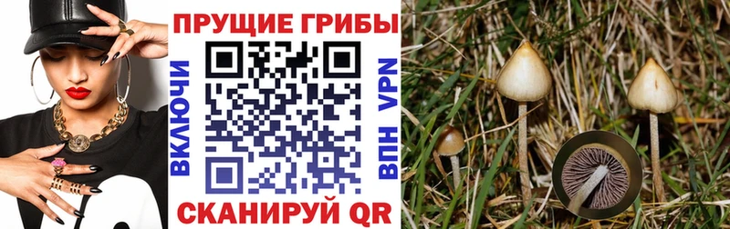 Галлюциногенные грибы Cubensis  Набережные Челны 